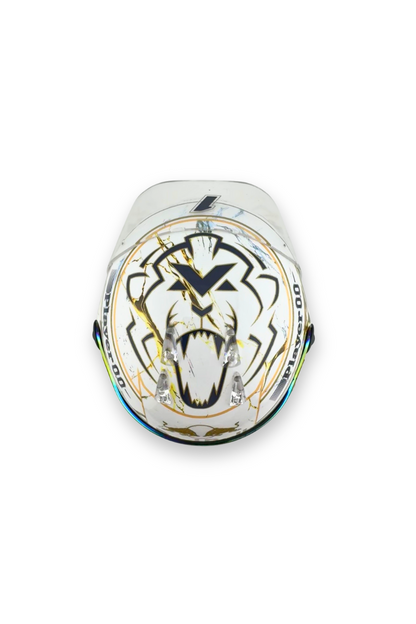 Top view of Max Verstappen 2024 World Champion helmet with roaring lion logo design.